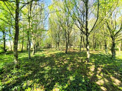 For sale Ferrieres-en-bray 5 rooms 95 m2 Seine maritime (76220) photo 3