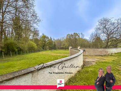 For sale Selles-sur-cher 3626 m2 Loir et cher (41130) photo 0