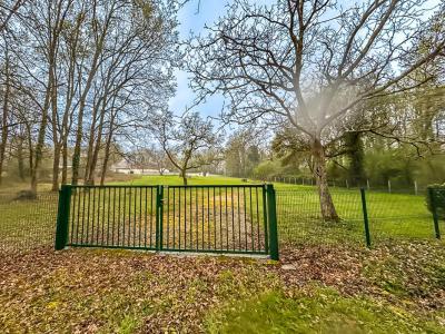 Annonce Vente Terrain Selles-sur-cher 41