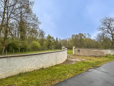 Acheter Terrain 3626 m2 Selles-sur-cher