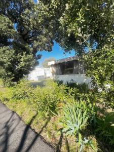 Annonce Vente Terrain Rocbaron 83