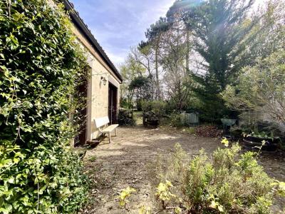 Annonce Vente 4 pi�ces Maison Taillan-medoc 33