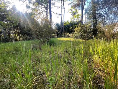 For sale Audenge 830 m2 Gironde (33980) photo 0