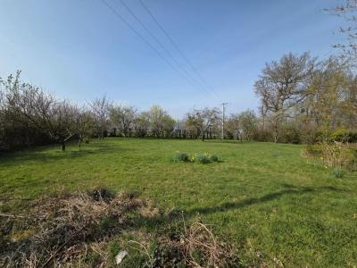 Annonce Vente 4 pi�ces Maison Boissy-mauvoisin 78