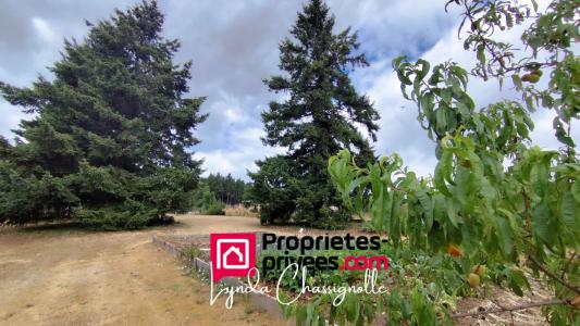 Acheter Terrain 1100 m2 Saint-andre-d'apchon