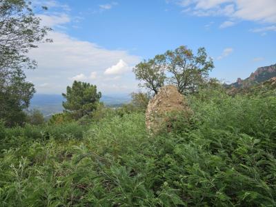 Acheter Terrain 21850 m2 Mandelieu-la-napoule