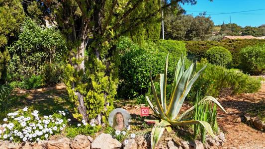 Annonce Vente 6 pi�ces Maison Trans-en-provence 83