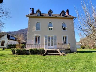 Acheter Maison 306 m2 Saint-pe-de-bigorre