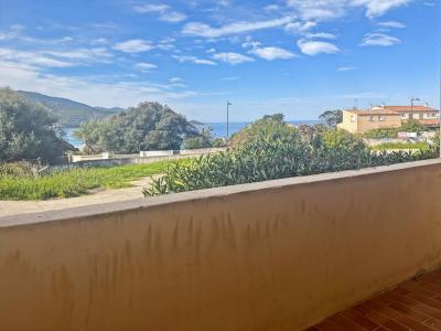 Annonce Vente 2 pi�ces Appartement Calcatoggio 20