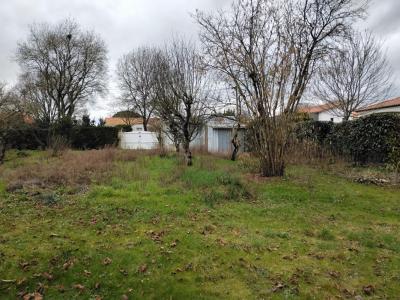 Annonce Vente Terrain Sainte-pazanne 44