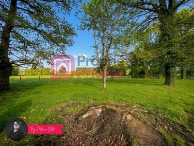 Annonce Vente 6 pi�ces Maison Malansac 56