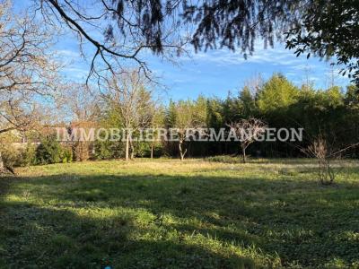 Acheter Maison Lamotte-beuvron Loir et cher