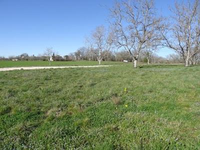 Annonce Vente Terrain Quatre-routes-du-lot 46