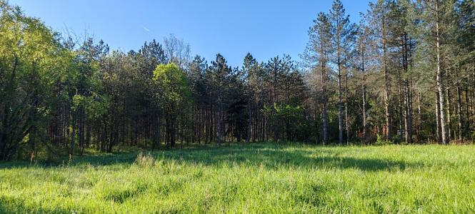 Annonce Vente Maison Villematier 31