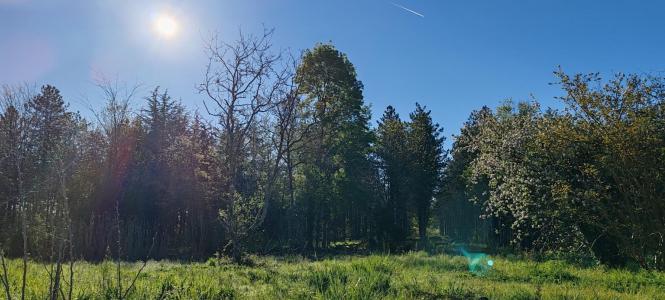 Annonce Vente Maison Villematier 31