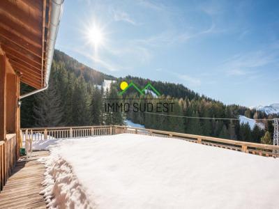 Acheter Maison 296 m2 Plagne