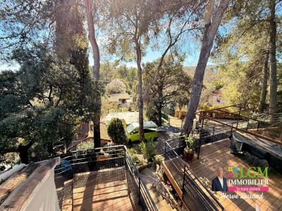 Annonce Vente 5 pi�ces Maison Saint-bauzille-de-montmel 34