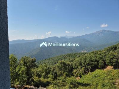 Acheter Prestige Prunelli-di-fiumorbo Corse