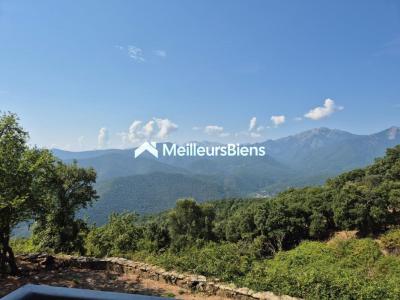 Acheter Prestige Prunelli-di-fiumorbo 540000 euros