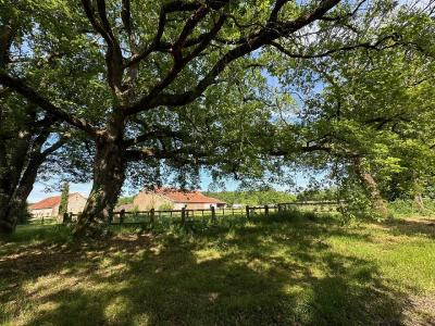 Annonce Vente 14 pi�ces Maison  45