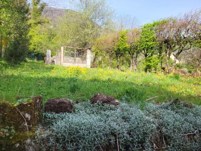 Acheter Appartement  Ain