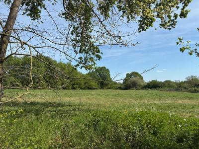 For sale Ecuille 660 m2 Maine et loire (49460) photo 0