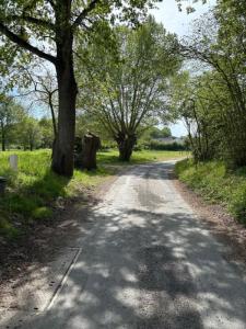 Annonce Vente Terrain Ecuille 49