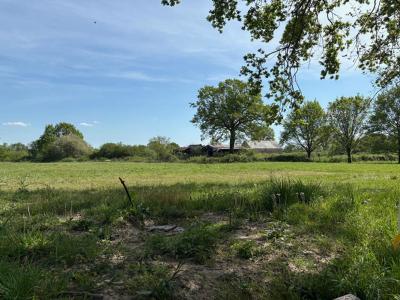 For sale Soulaire-et-bourg 599 m2 Maine et loire (49460) photo 0