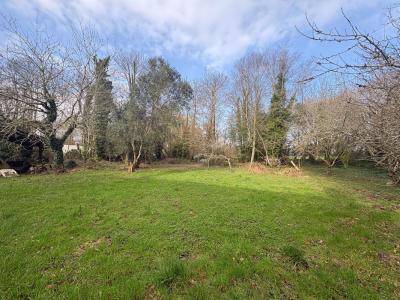 Annonce Vente 8 pi�ces Maison Riec-sur-belon 29