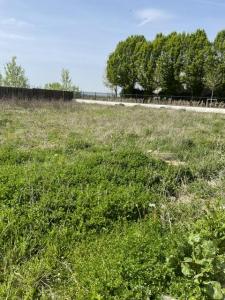 For sale Mitry-mory 296 m2 Seine et marne (77290) photo 1