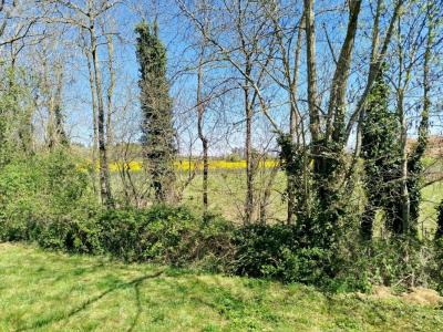 For sale Moissieu-sur-dolon 1268 m2 Isere (38270) photo 1