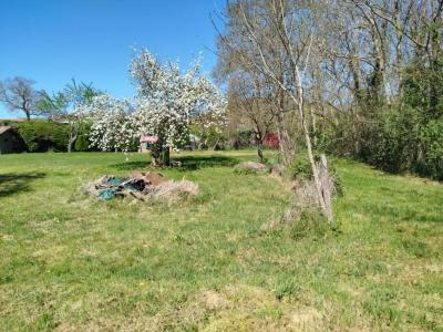 For sale Moissieu-sur-dolon 1268 m2 Isere (38270) photo 4