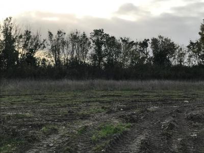 For sale Rochefort 220 m2 Charente maritime (17300) photo 0