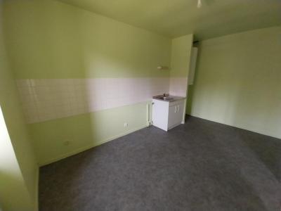 For rent Celsoy VILLEGUSIEN-LE-LAC 2 rooms 54 m2 Haute marne (52600) photo 4