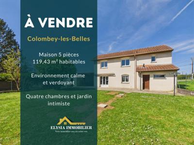 For sale Colombey-les-belles 5 rooms 119 m2 Meurthe et moselle (54170) photo 0