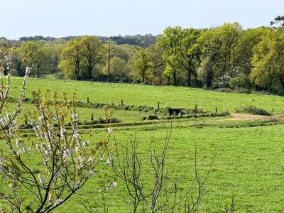 For sale Auray 5 rooms 144 m2 Morbihan (56400) photo 1
