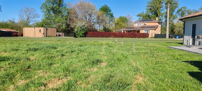 Annonce Vente Maison Buzet-sur-tarn 31