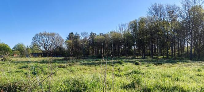 Annonce Vente Maison Villematier 31