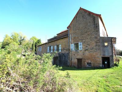 Annonce Vente 12 pi�ces Maison Tournus 71