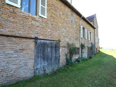 Acheter Maison 320 m2 Tournus