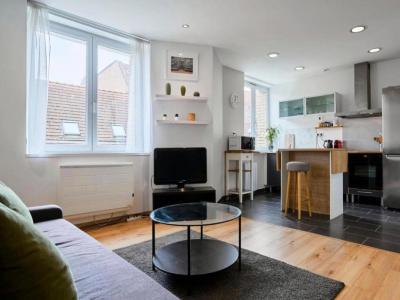 Annonce Location 2 pi�ces Appartement Lille 59