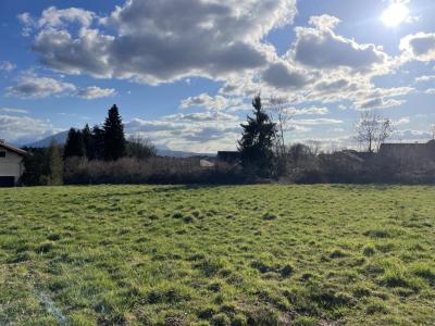 Acheter Maison Metz-tessy Haute savoie