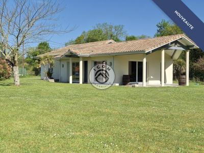 Annonce Vente 6 pi�ces Maison Lucbardez-et-bargues 40
