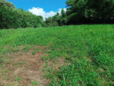 For sale Morne-rouge 1167 m2 Martinique (97260) photo 0