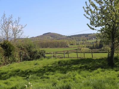 Annonce Vente 4 pi�ces Maison Grande-verriere 71