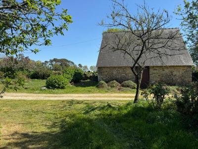 Acheter Prestige Brandivy Morbihan