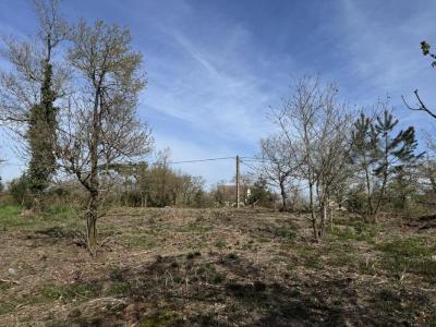 Annonce Vente Terrain Guemene-penfao 44