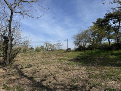 Acheter Terrain 2672 m2 Guemene-penfao