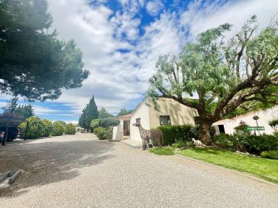 For sale 25 MNS VIA AUTOROUTE A9 6 rooms 207 m2 Herault (34000) photo 0