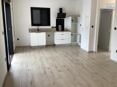 Annonce Location Appartement Riviere-saint-louis 974